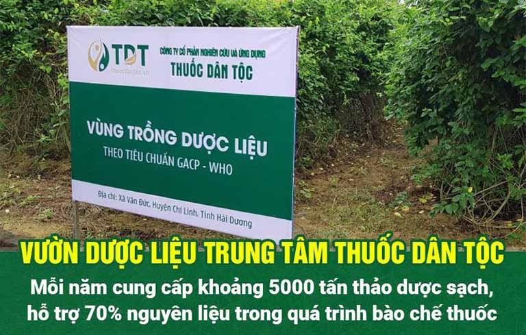 Vườn dược liệu sạch của Trung tâm Thuốc dân tộc