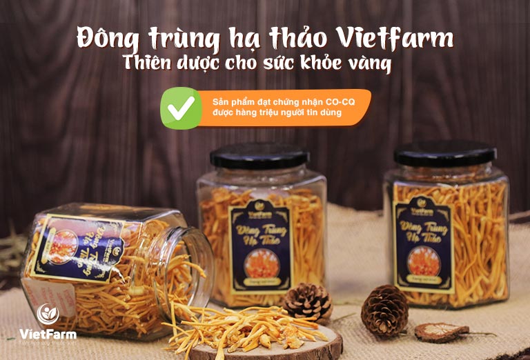 đông trùng hạ thảo