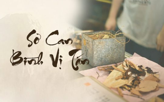 Sơ can Bình vị tán chữa trào ngược dạ dày