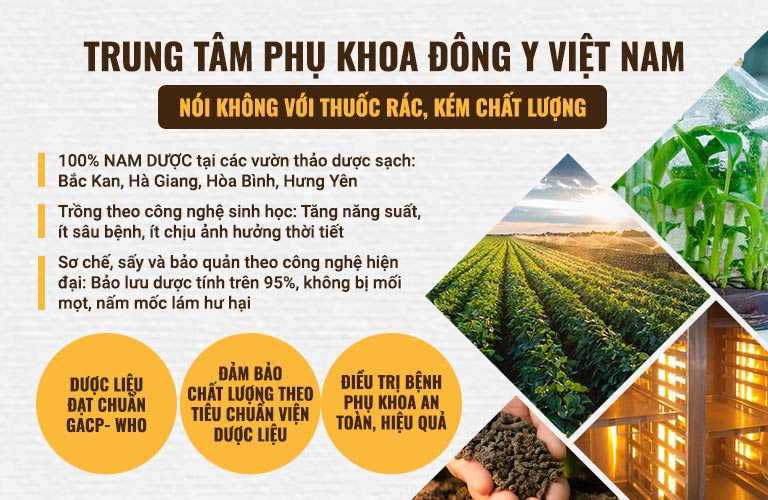 Dược liệu được thu hái tại vườn, đảm bảo sạch và đạt tiêu chuẩn an toàn với người bệnh