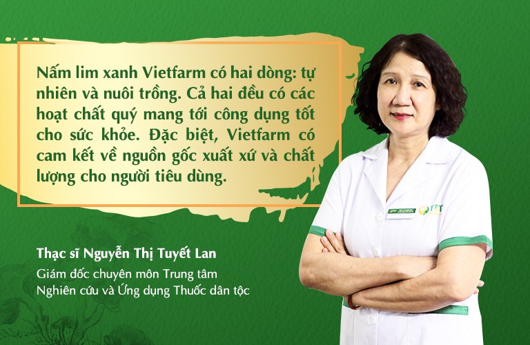 nấm lim xanh VIetfarm