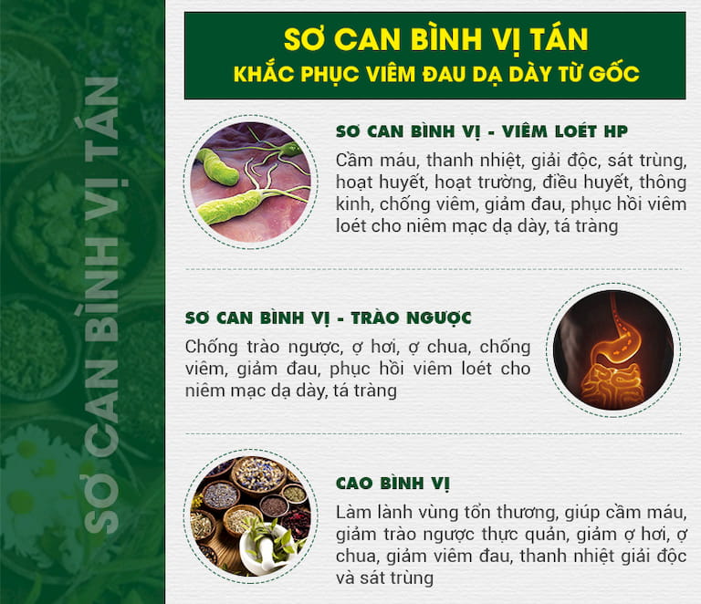 Chế phẩm thuốc trong Sơ can Bình vị tán