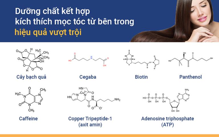 Thành phần trị rụng tóc có trong sản phẩm