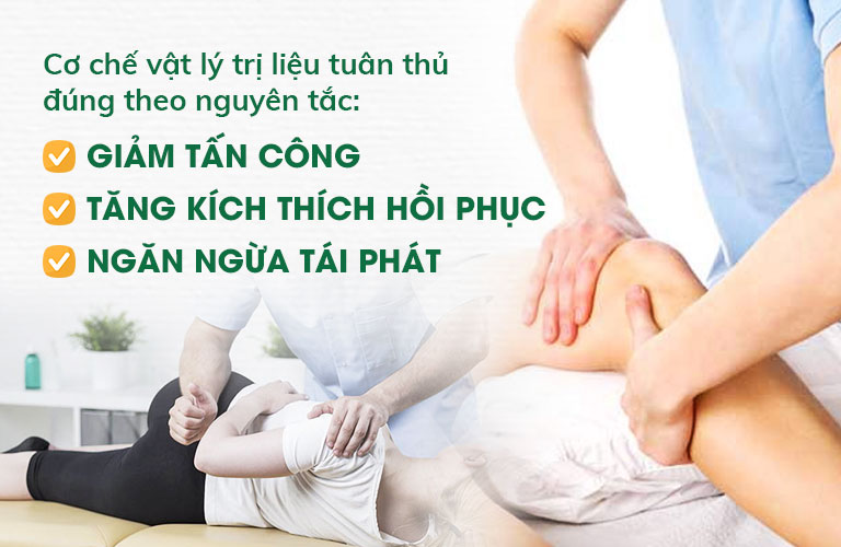 Đông phương Y pháp cung cấp đa dạng các dịch vụ trị liệu không dùng thuốc