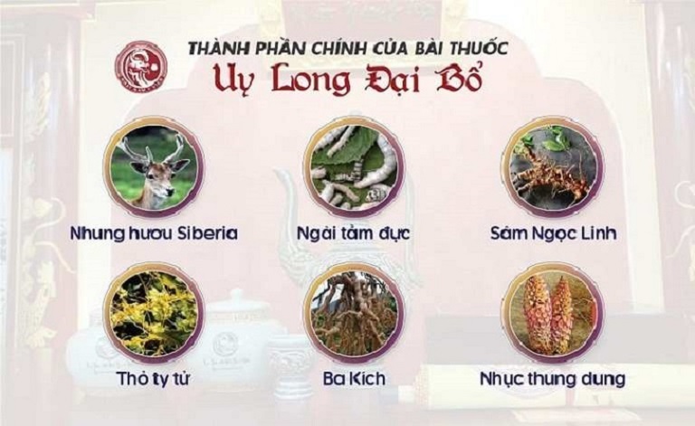 Dược liệu cao cấp sử dụng trong bài thuốc Uy Long Đại Bổ