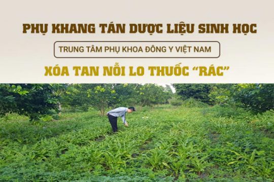 Phụ Khang Tán sử dụng thảo dược sạch