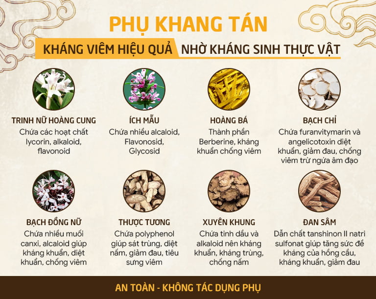 Phụ Khang tán chứa nhiều kháng sinh thực vật, giúp tiêu viêm hiệu quả