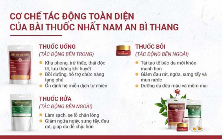 Thành phần và công dụng của 3 chế phẩm Nhất Nam An Bì Thang