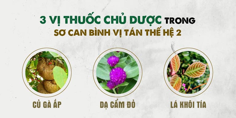 3 chủ dược chính trong Sơ can Bình vị tán