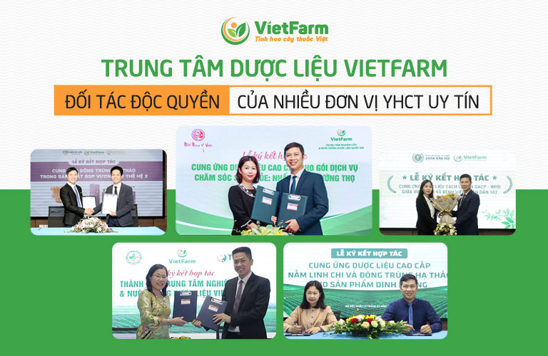 Trung tâm Viefarm - Đơn vị cung ứng dược liệu độc quyền cho nhiều đơn vị