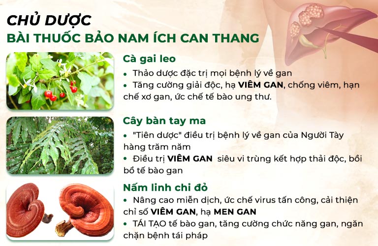 Bộ ba "chủ dược" đặc hiệu của bài thuốc Bảo nam Ích can thang