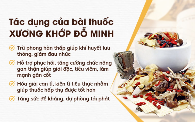 Công dụng bài thuốc Xương khớp của Đỗ Minh Đường