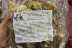 Bài thuốc Xương khớp của Đỗ Minh Đường