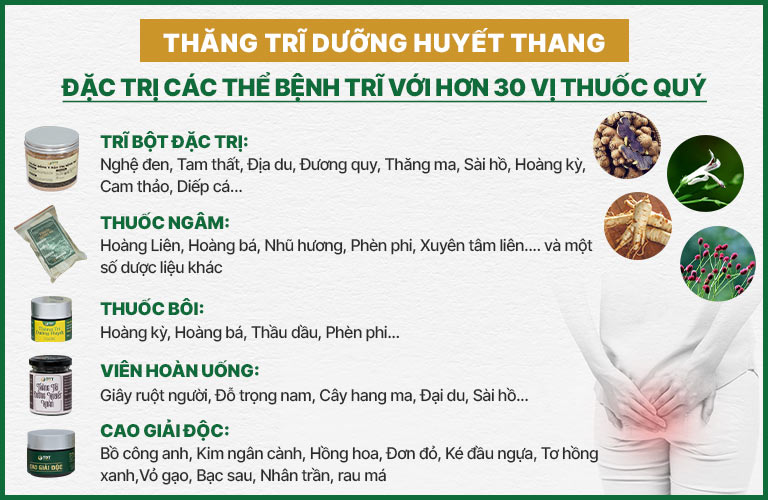 Các vị thuốc Quân, Thần, Tá, Sứ trong bài thuốc Thông xoang Khang dược