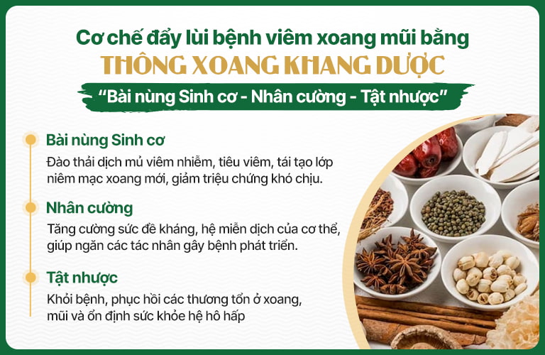 Thông xoang Khang dược điều trị theo cơ chế Bài nùng sinh cơ - Nhân cường - Tật nhược