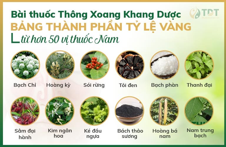 Thành phần thảo dược trong bài thuốc Thông xoang Khang dược